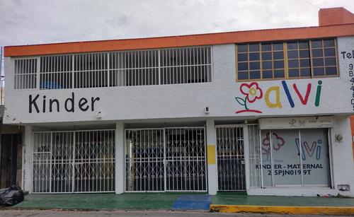 kinder alvi